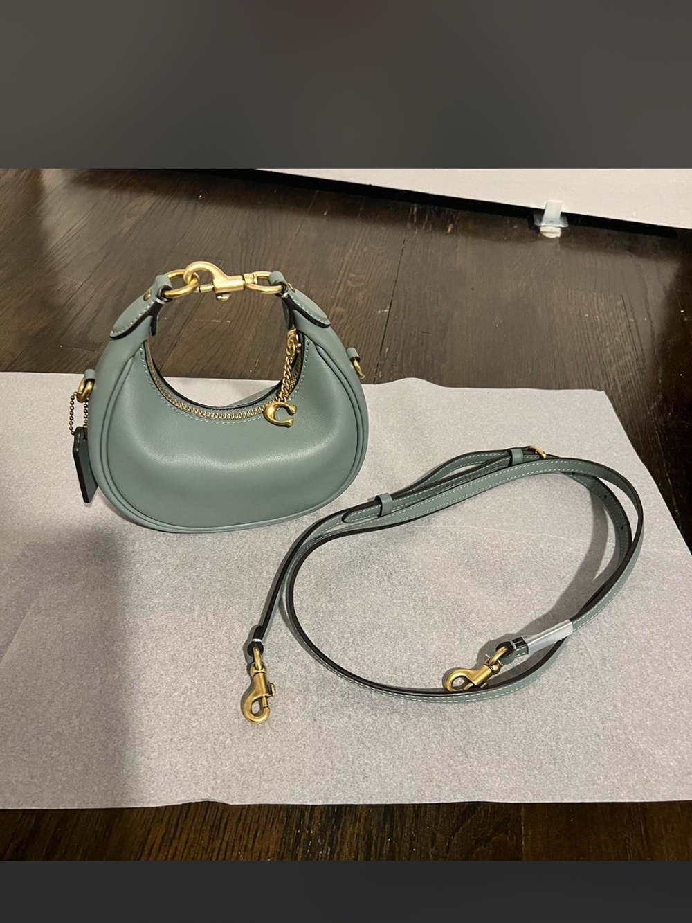 Coach Sage Green Leather Crescent Crossbody with Gold Hardware